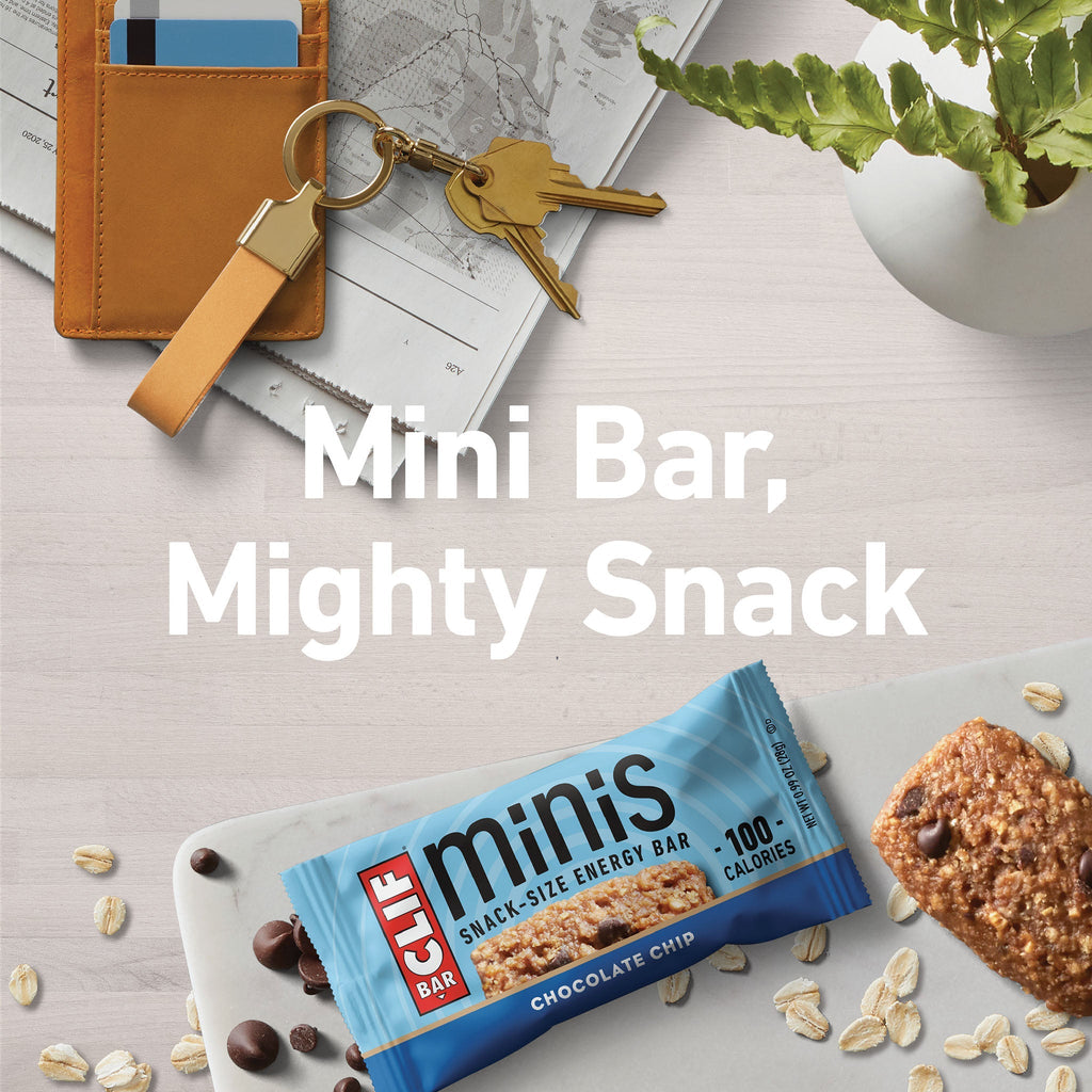 Chocolate Chip Minis