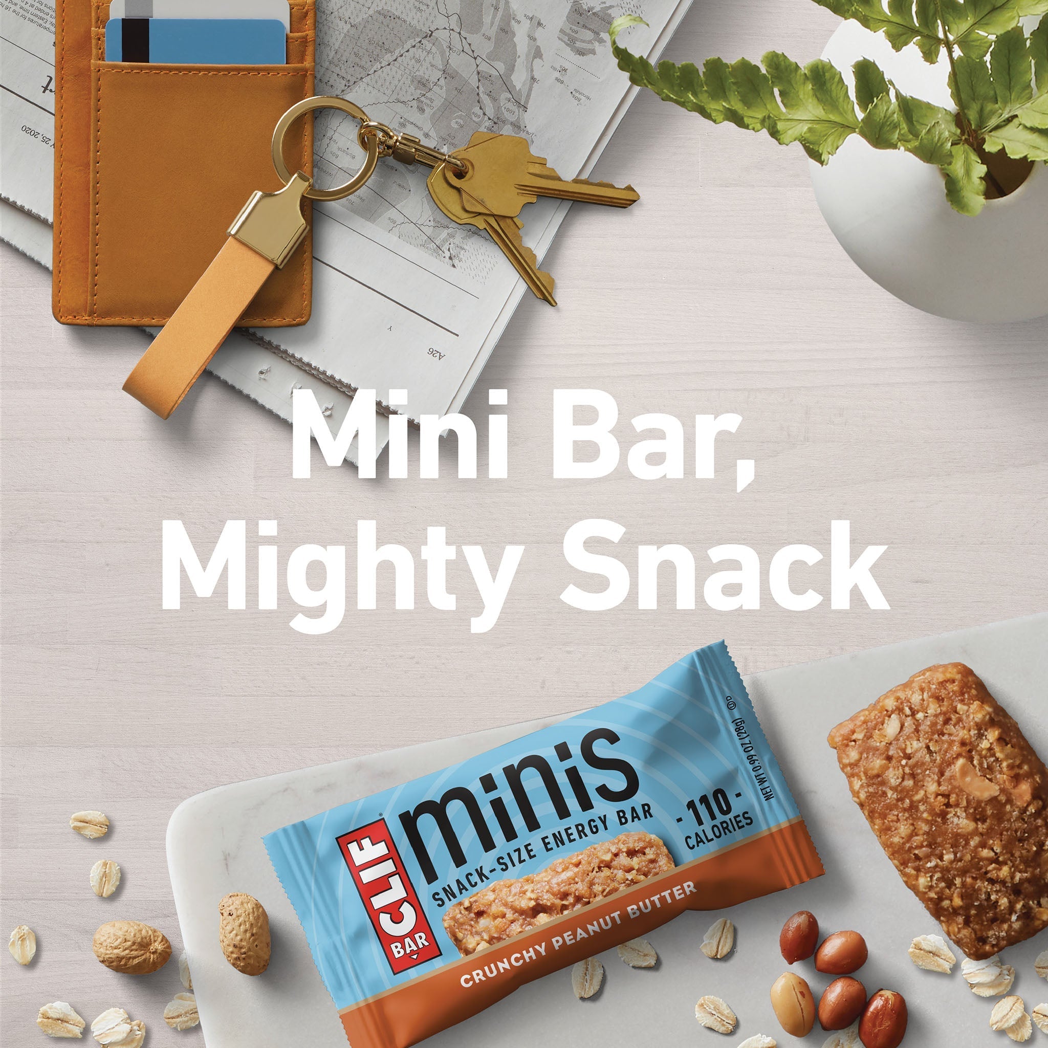 Crunchy Peanut Butter Minis