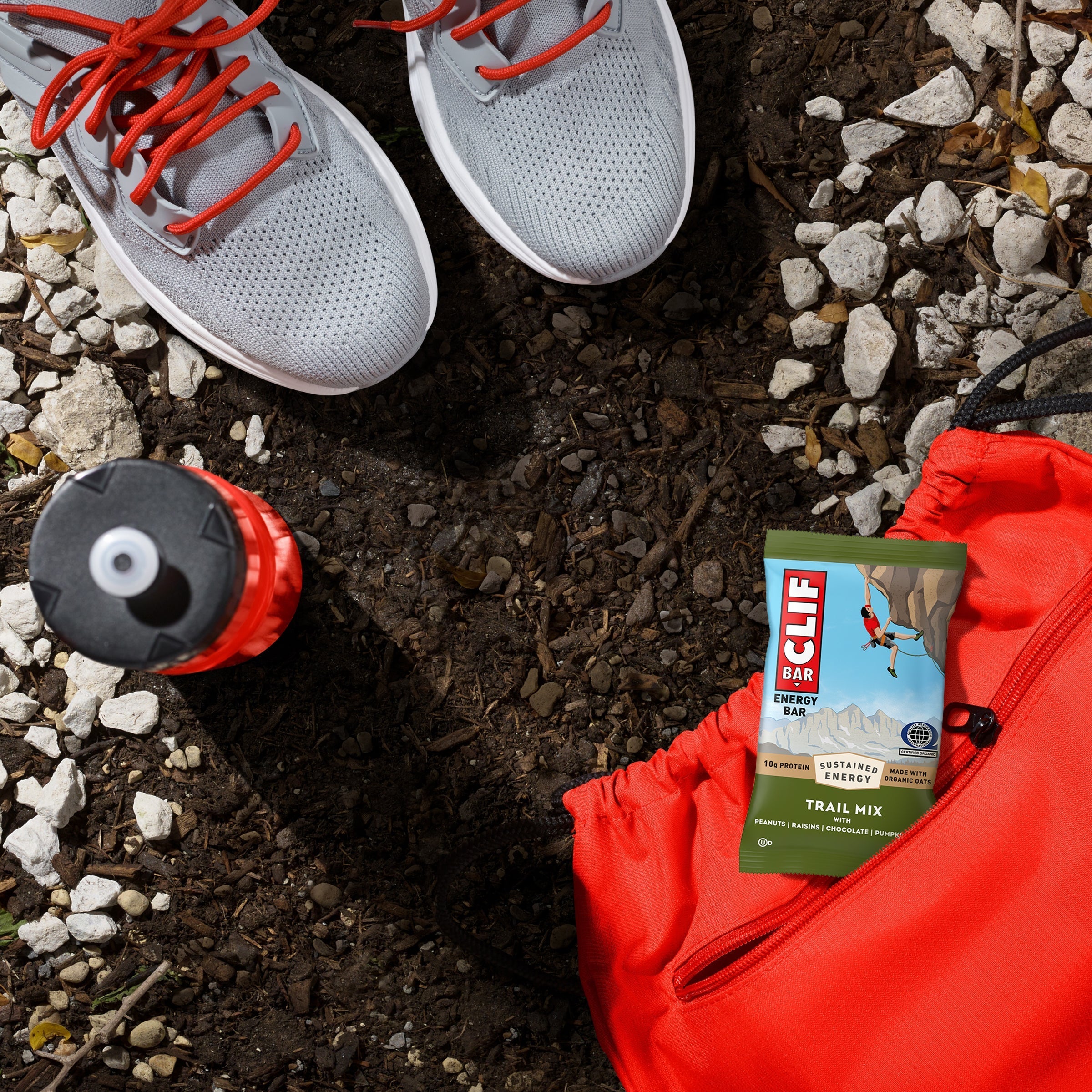 Trail Mix Energy Bar